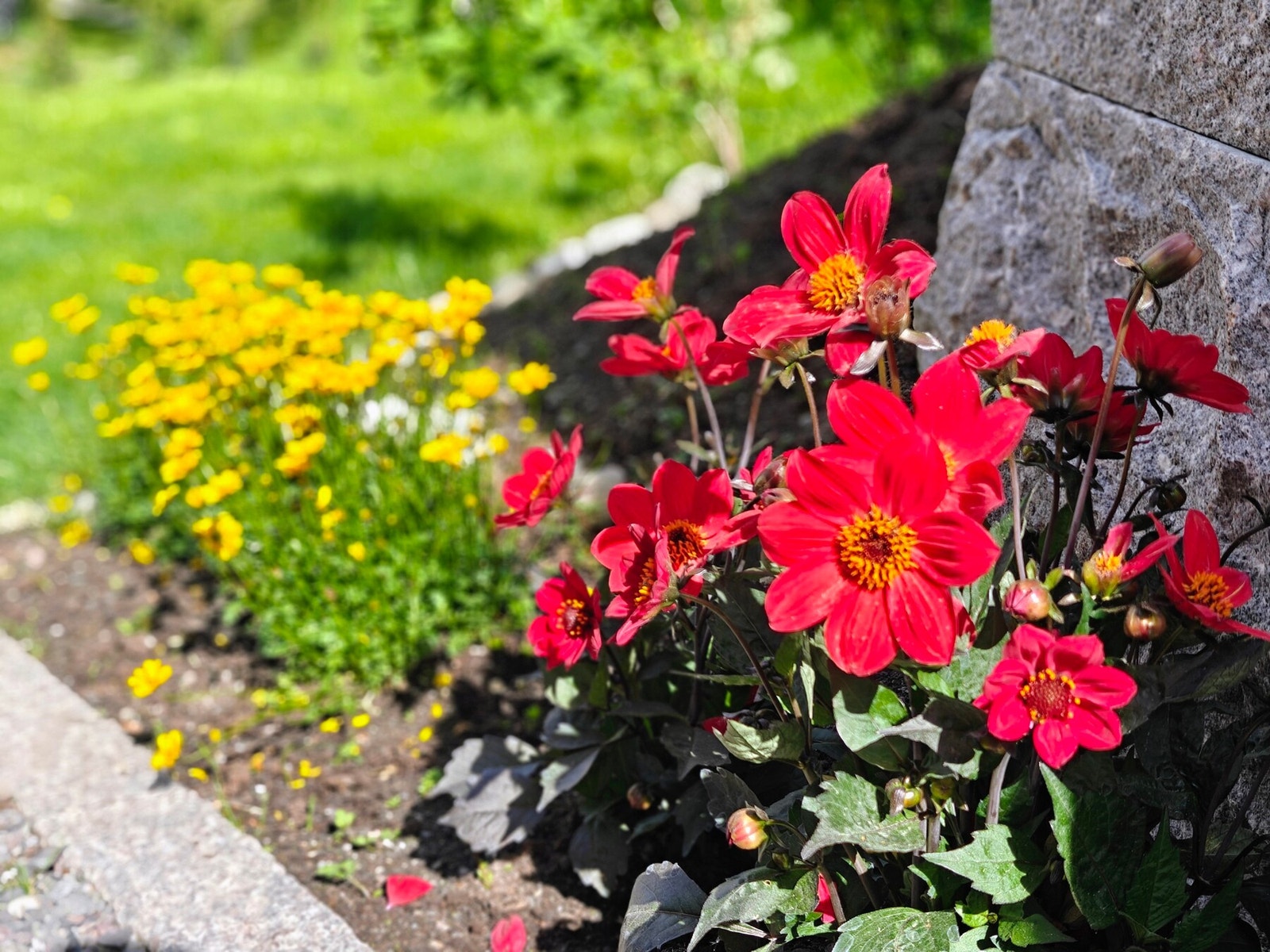 Fine blomster og beplanting rundt huset. Galleribilde