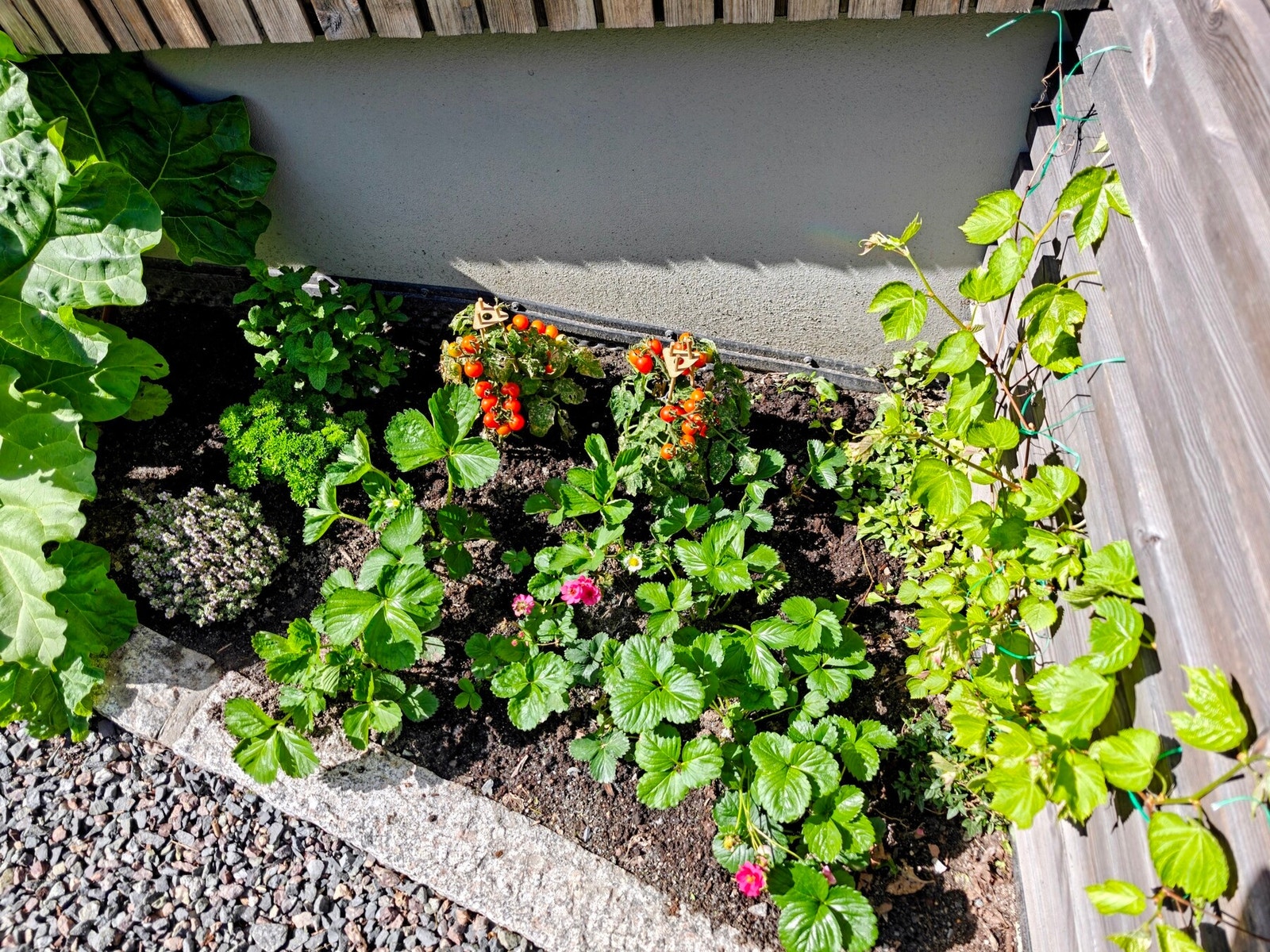 Selger har dyrket diverse grønnsaker/bær som har trivdes svært godt på eiendommen. Bla. druer, jordbær og urter. Galleribilde