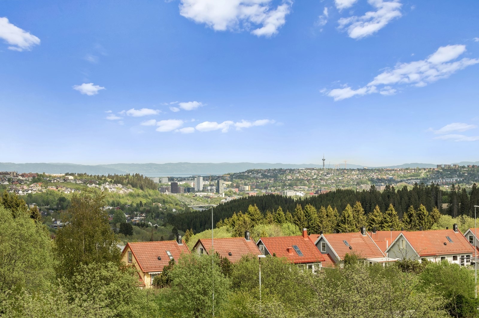 Nydelig og unik utsikt over Trondheim Galleribilde