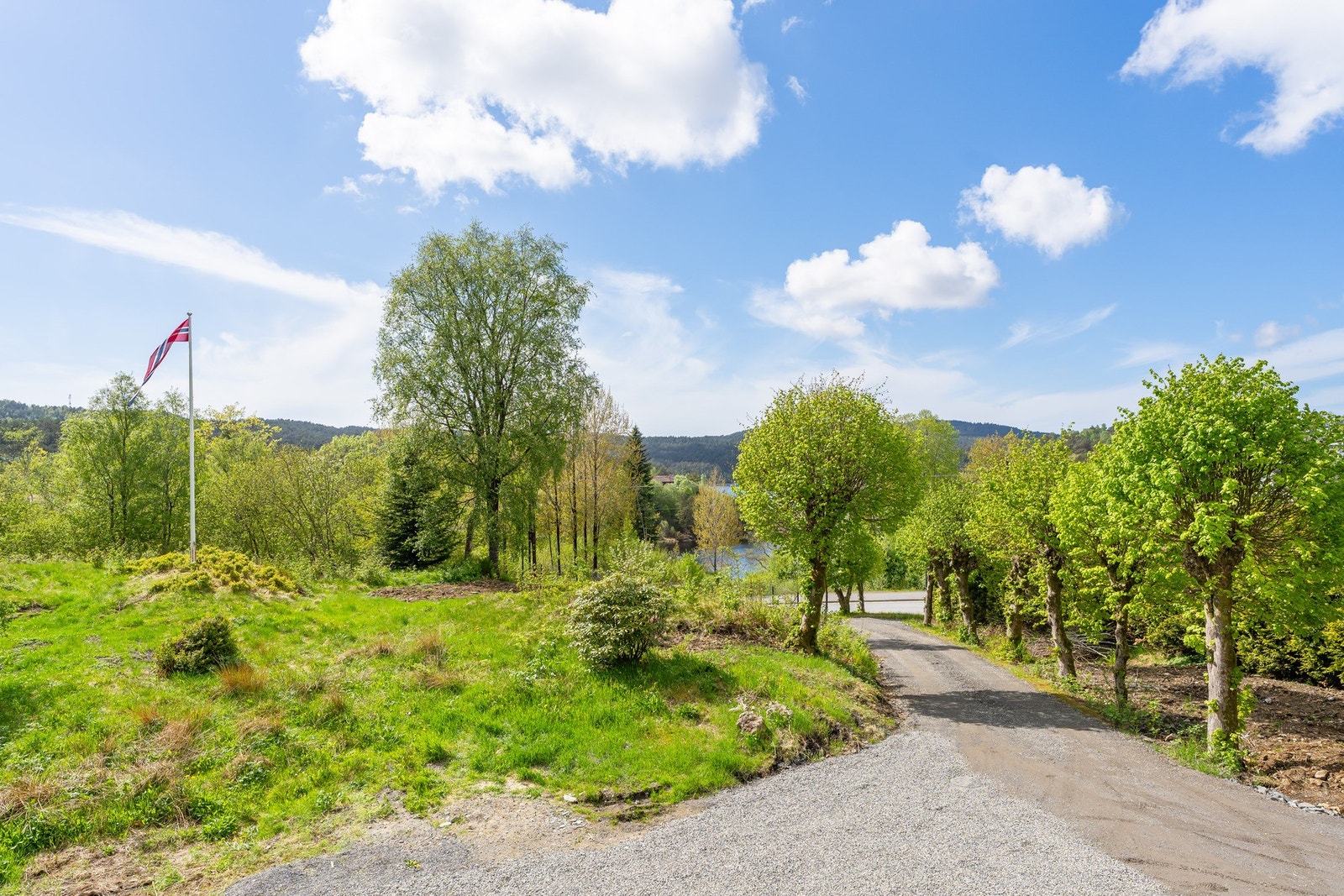 Flott oppkjørsel. Galleribilde