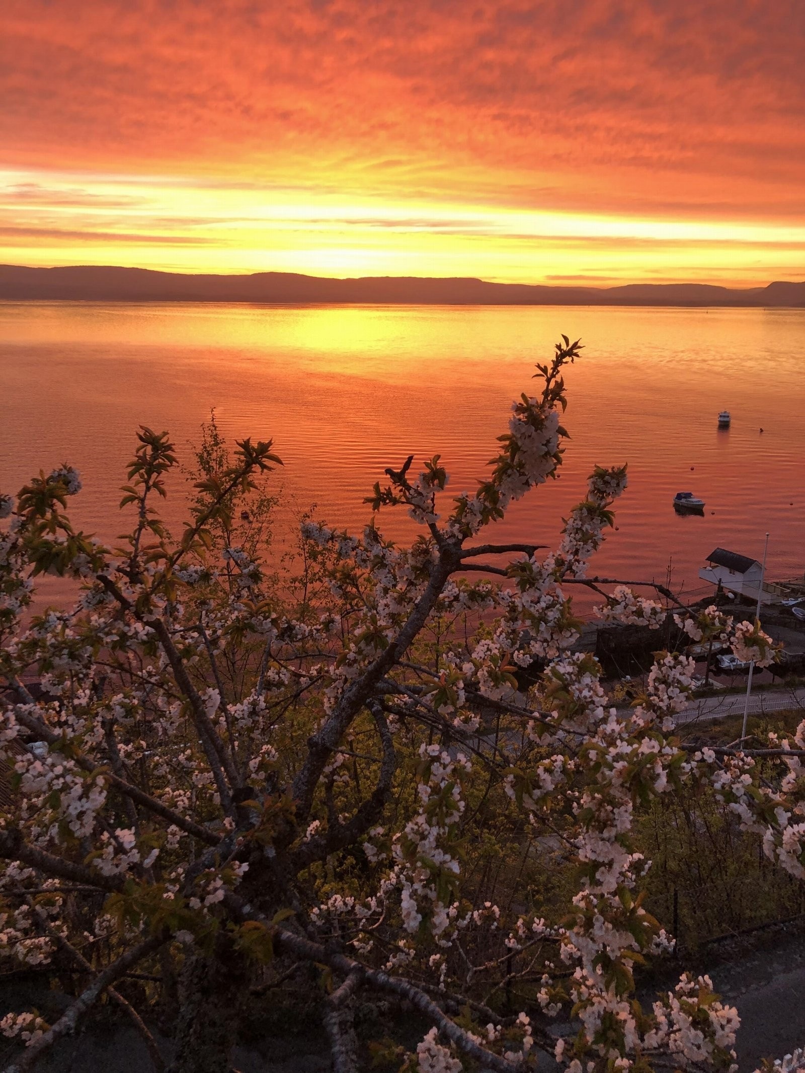 Solnedganger som tar pusten fra deg! Eiers bilde Galleribilde
