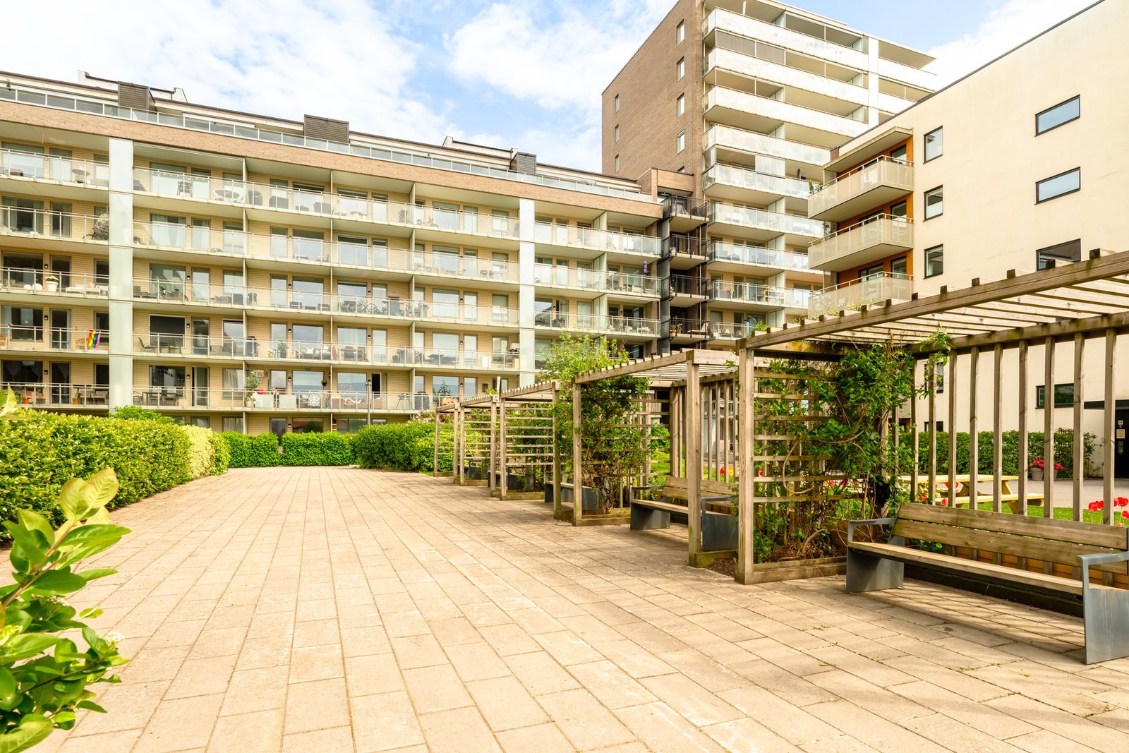 Flere sittegrupper og beplantning. Galleribilde