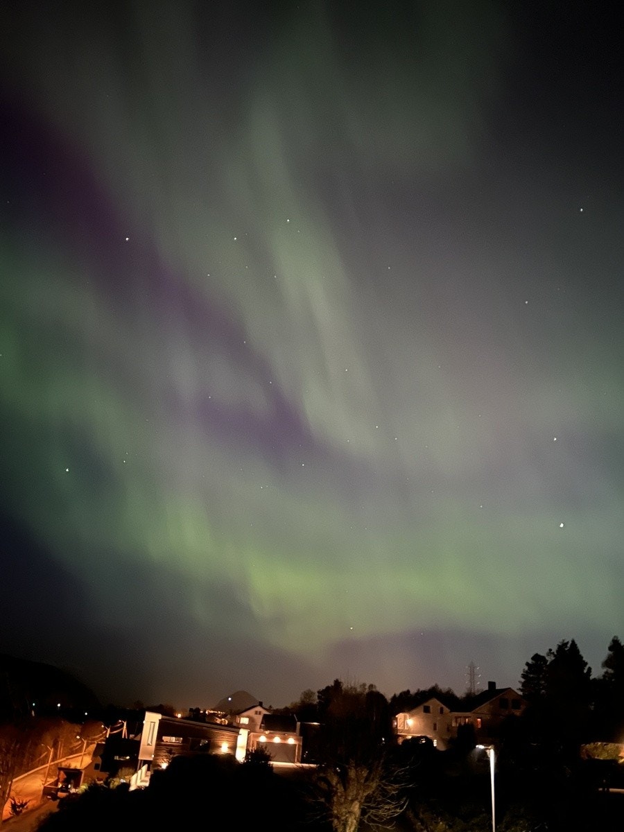 Nordlys fra Tunet Galleribilde