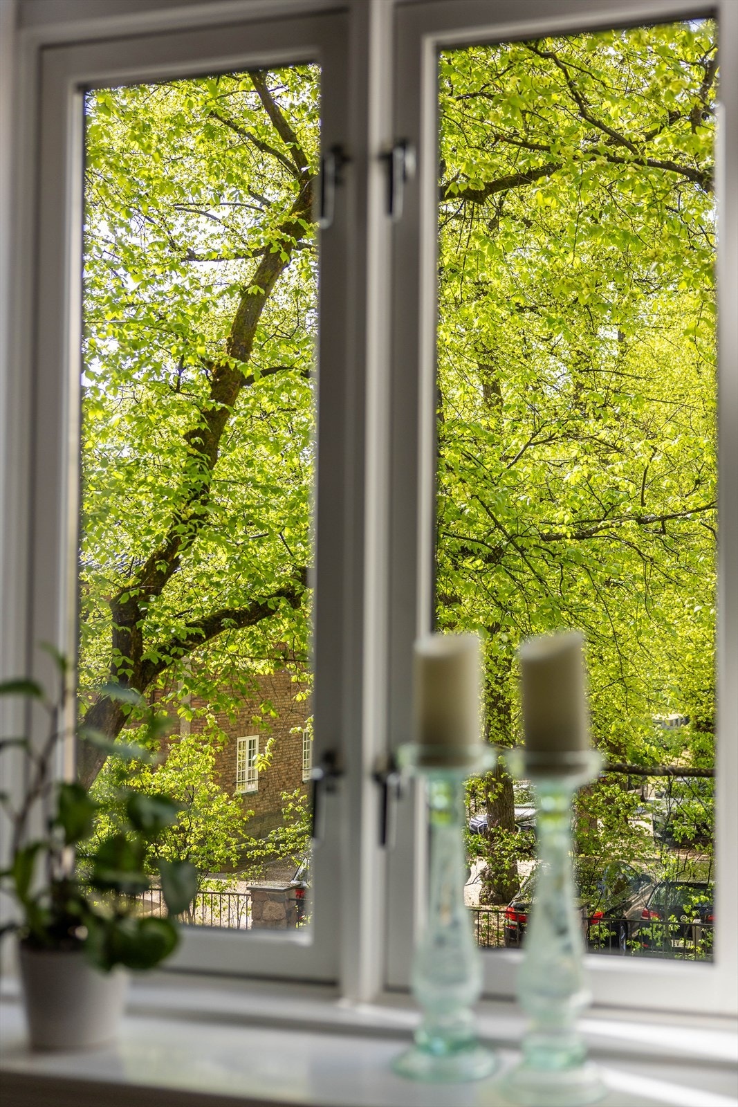 Frodig vegetasjon og høye trær utenfor gir en sjelden kombinasjon av lys, utsyn og privatliv Galleribilde
