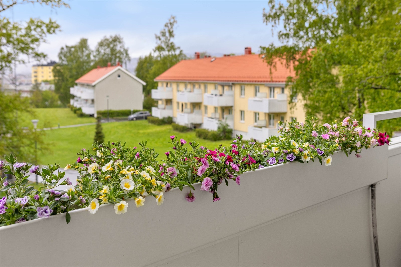 Nydelig utsyn mot områdets felles grøntarealer. Galleribilde