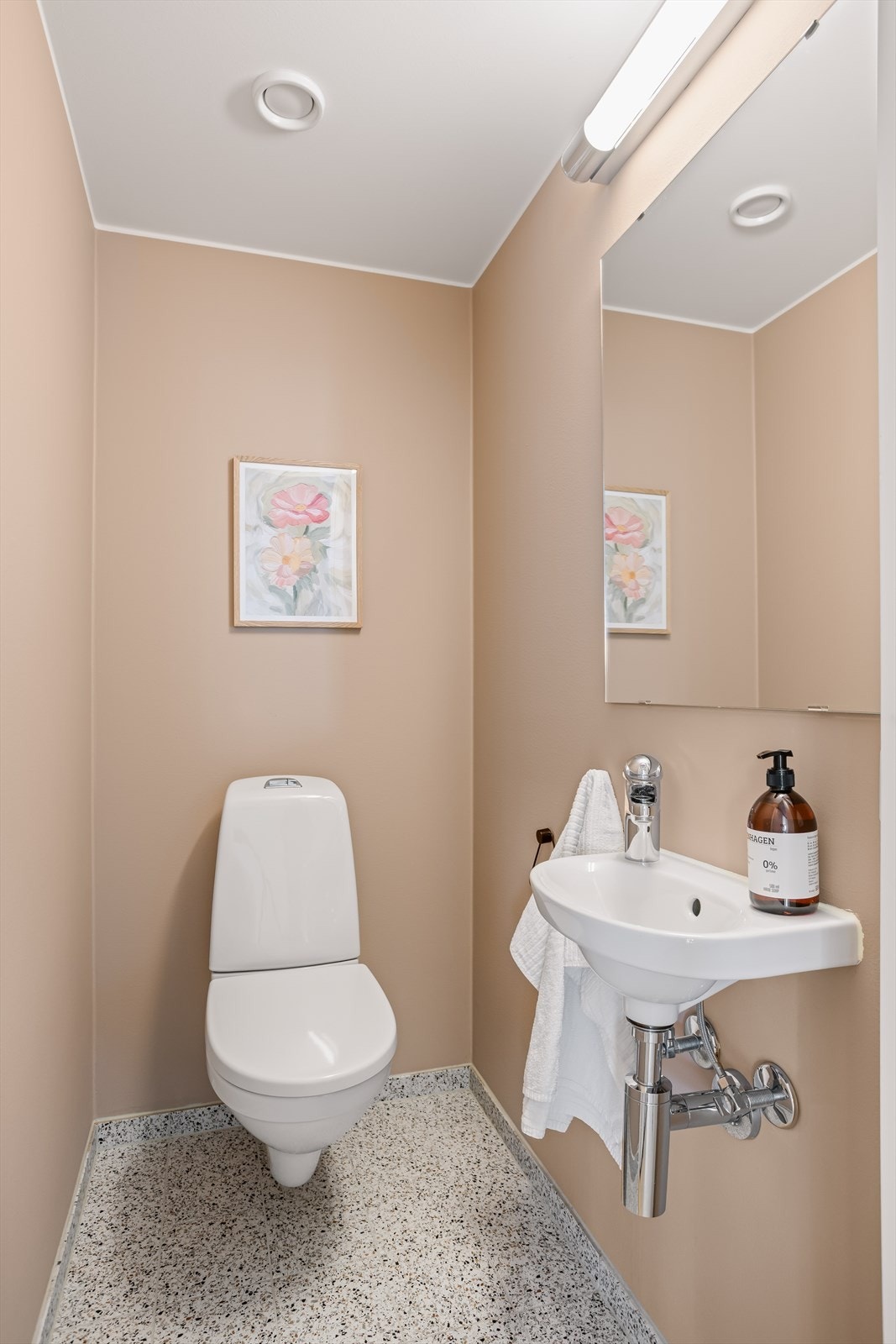 Ekstra separat wc Galleribilde