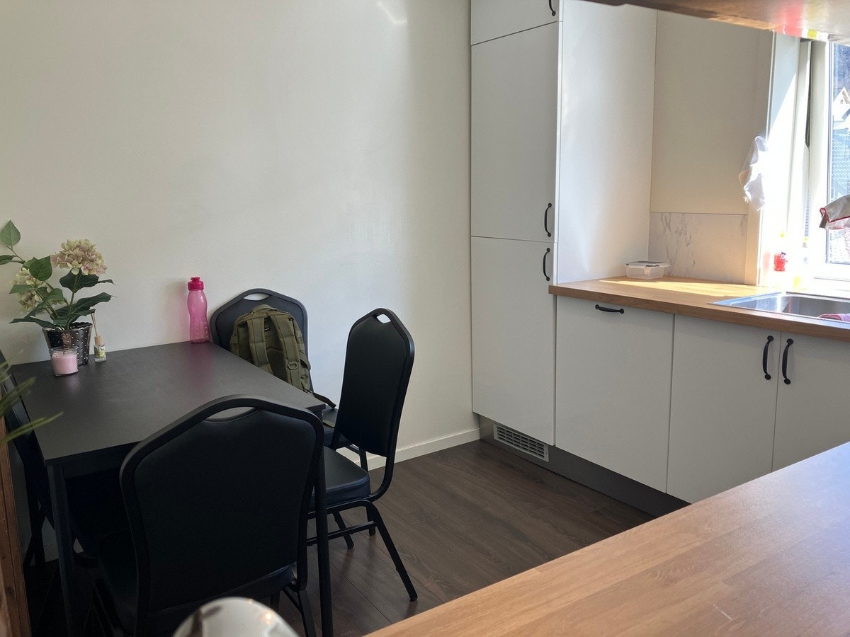 Leiligheten leies ut med oppvaskemaskin og alt av hvitevarer du trenger Galleribilde