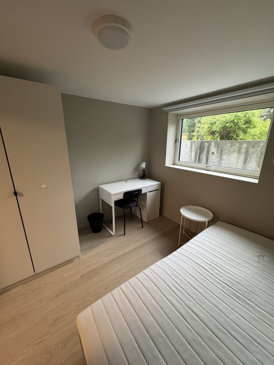 Room 5 Galleribilde