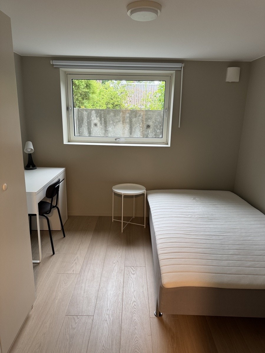 Room 5 Galleribilde
