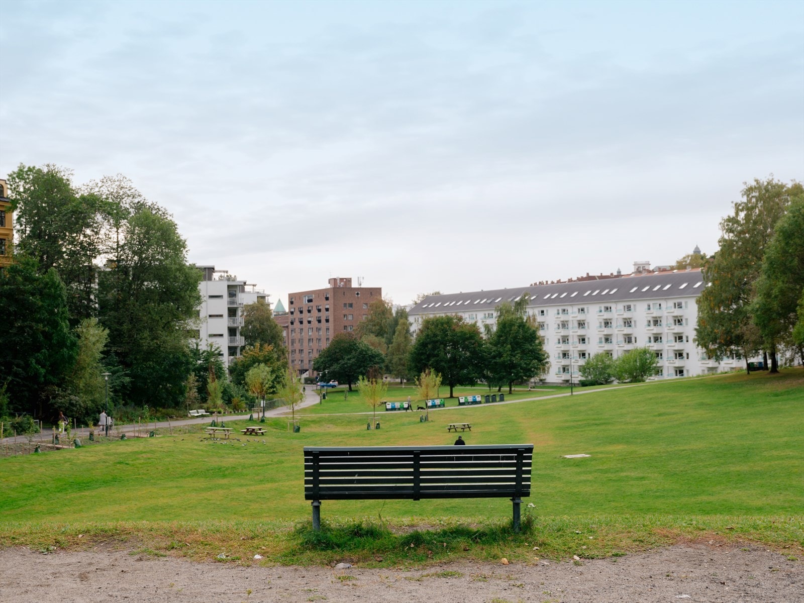 Her kan du nyte late sommerdager i parken! Galleribilde