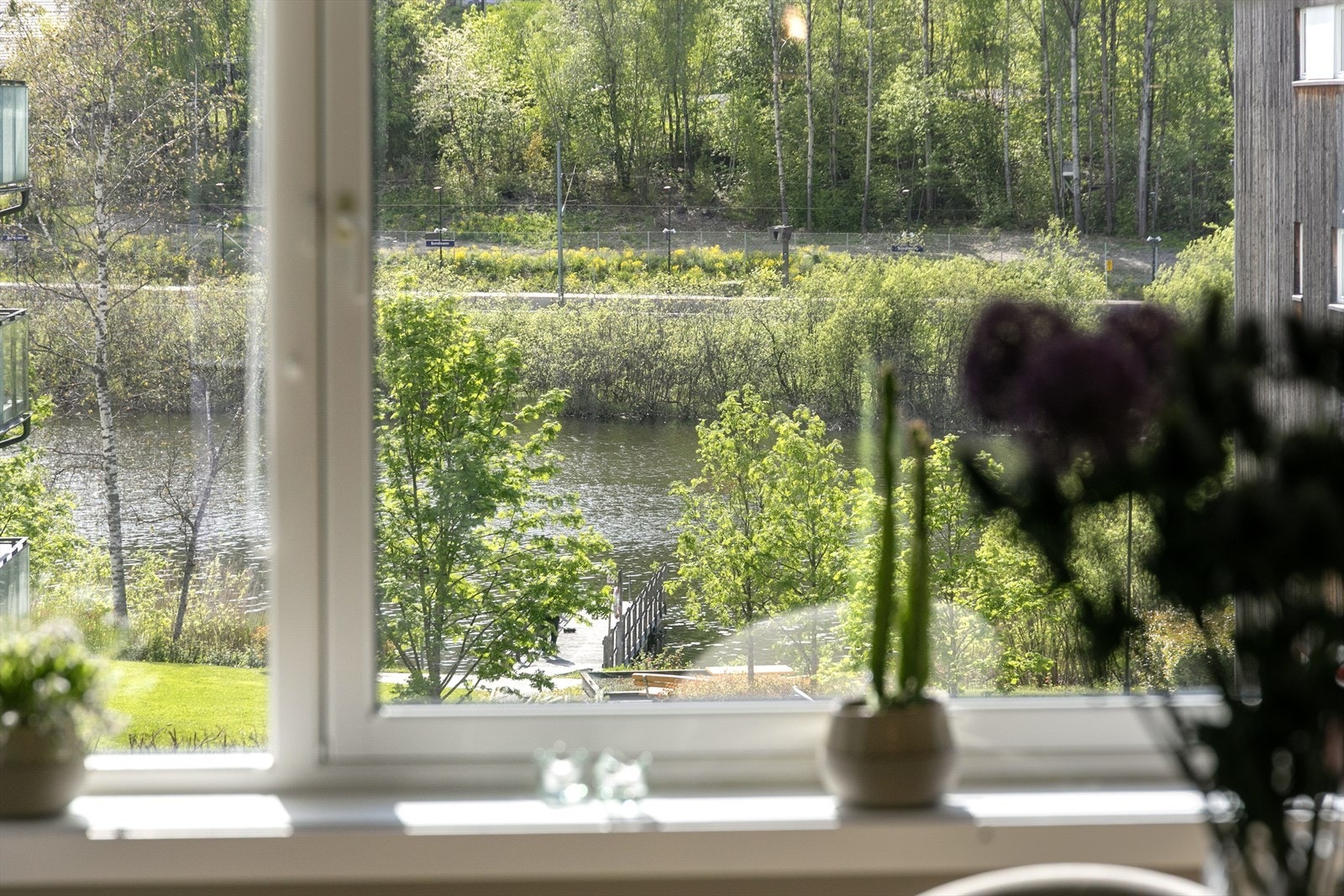 Hyggelig utsyn fra stuevinduet! Galleribilde