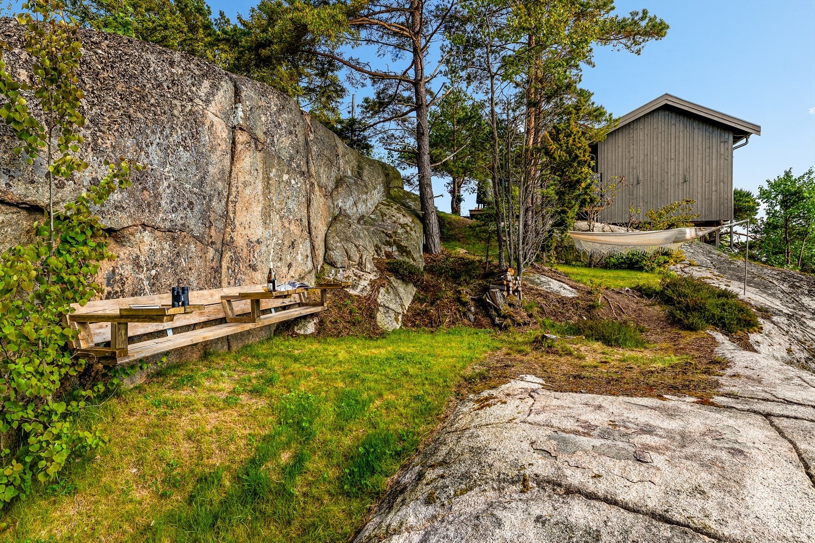 Tomten er en naturtomt med fjell og stedegen vegetasjon. Galleribilde