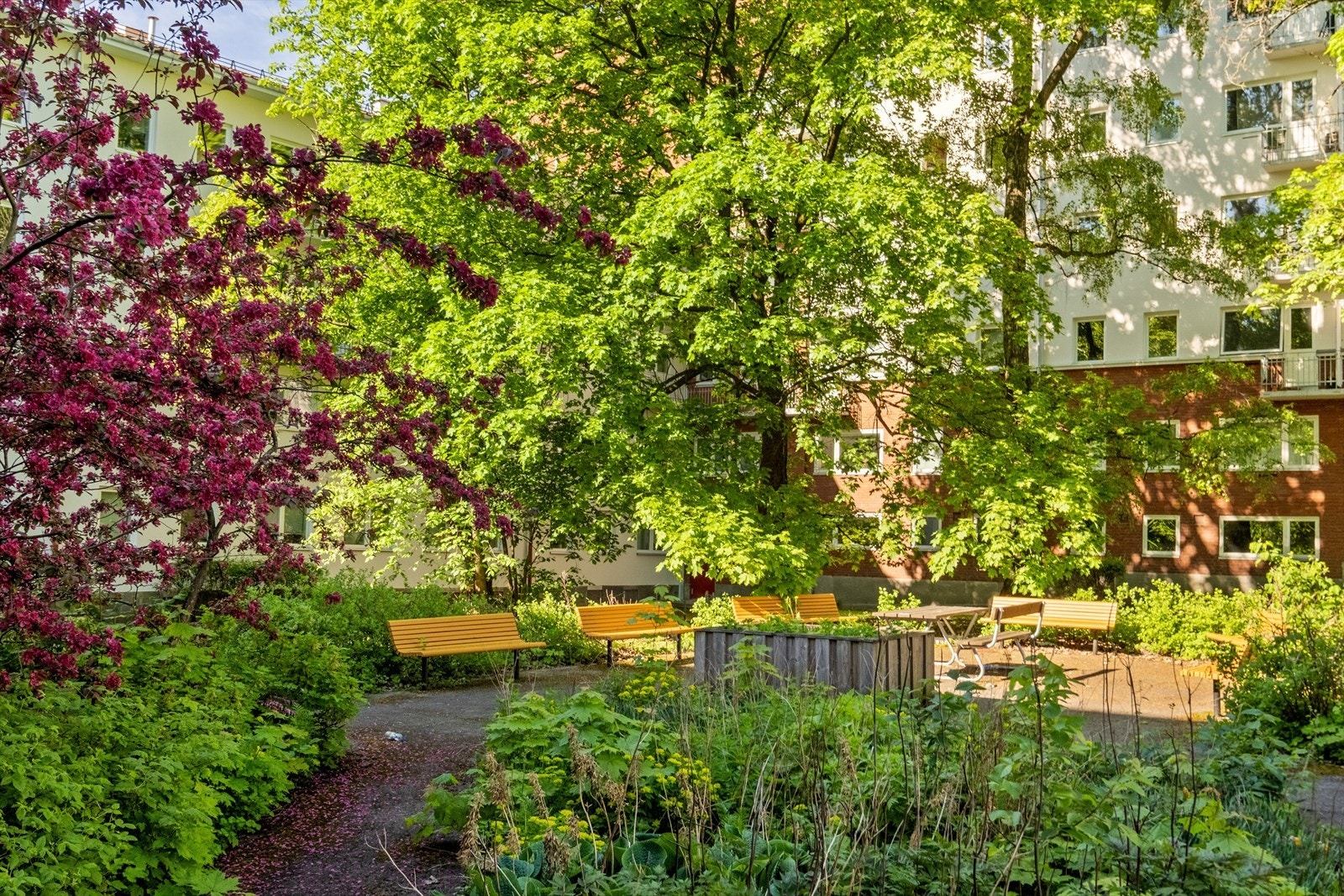 Svært trivelig og frodig bakgård. Galleribilde