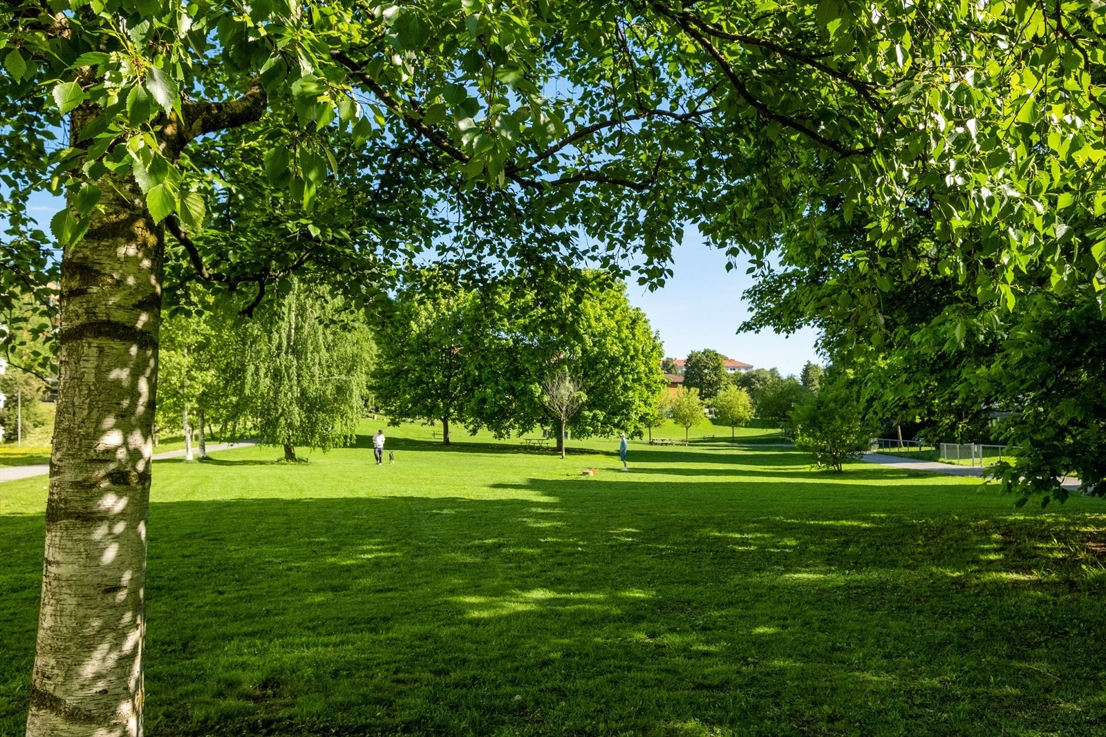 Leiligheten ligger like ved Iladalen som byr på store gressplener - perfekt sted for piknik og soling. Galleribilde