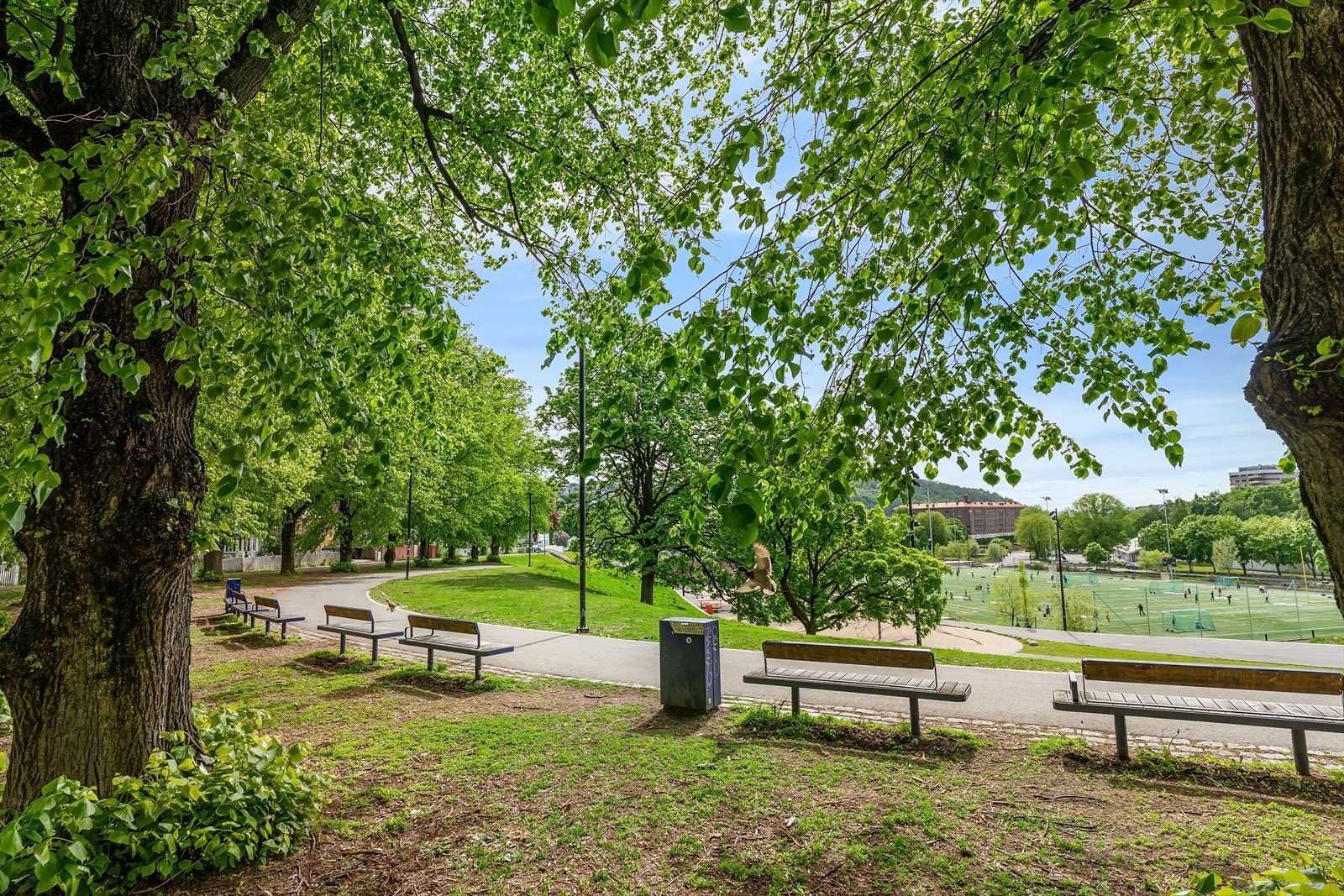 Rett utenfor boligen er Jordalparken med fine grøntområder, trær, beplantning og aktivitetsområder Galleribilde