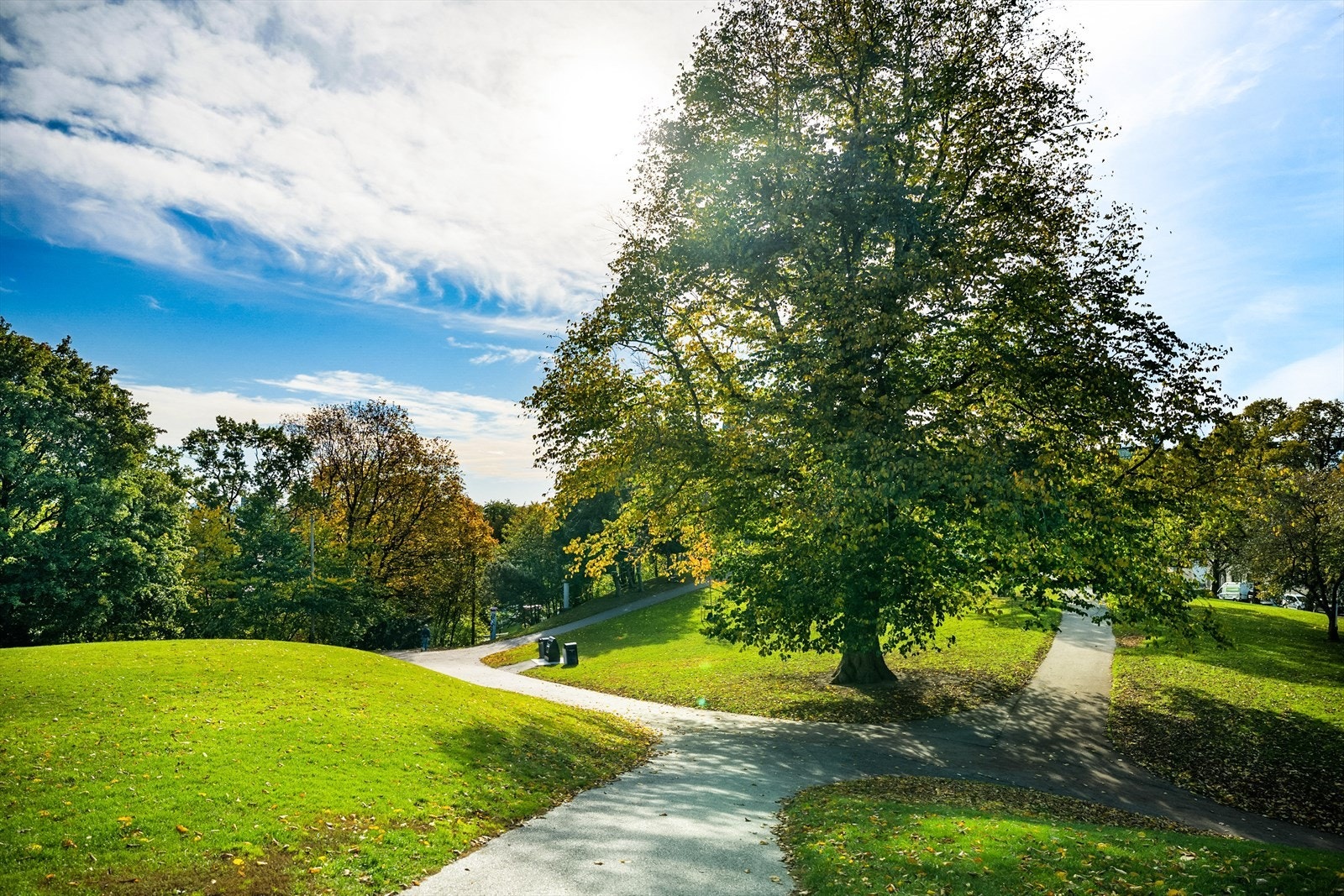Gangavstand til Stensparken. Galleribilde