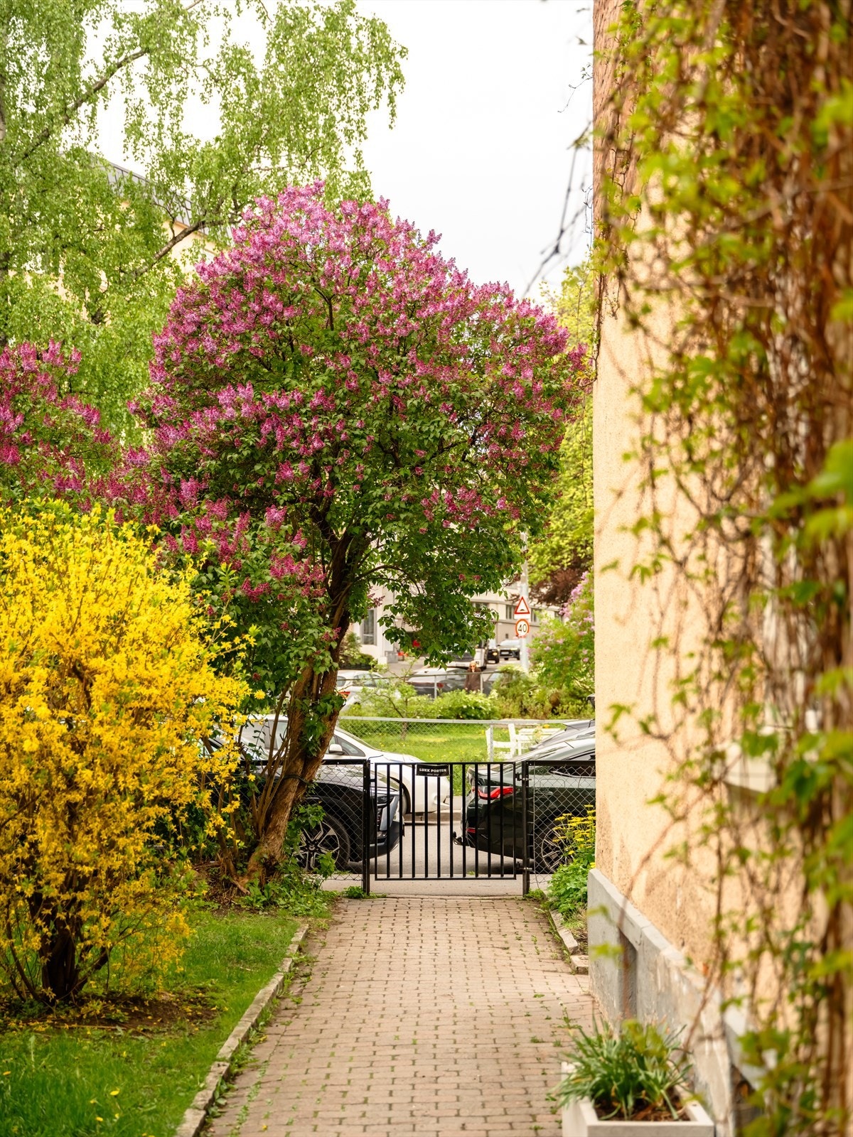 Av praktiske forhold er det verdt å nevne at boligen disponerer hele 3 boder (totalt ca. 22 kvm gulvareal med oppbevaring). I tillegg finner du både utvendig og innvendig sykkelparkering. Galleribilde