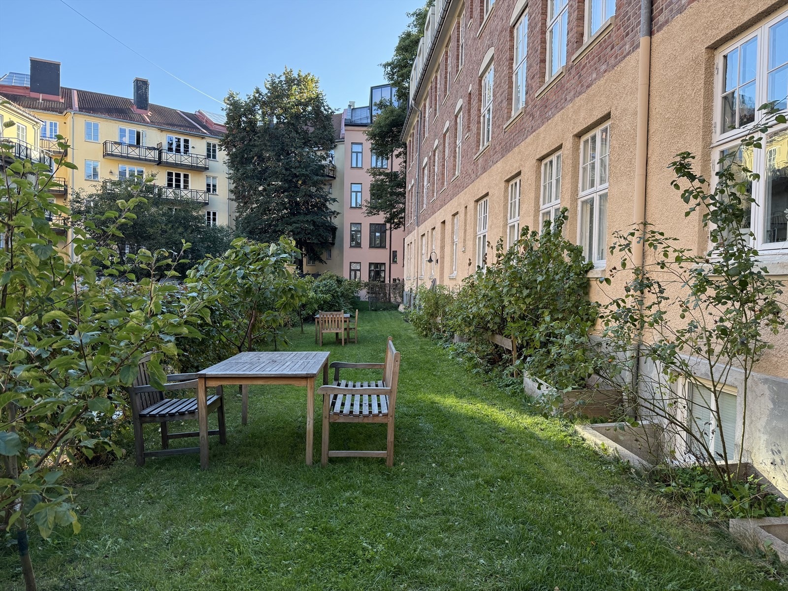 I bakhagen er det sol om formiddagen. Galleribilde