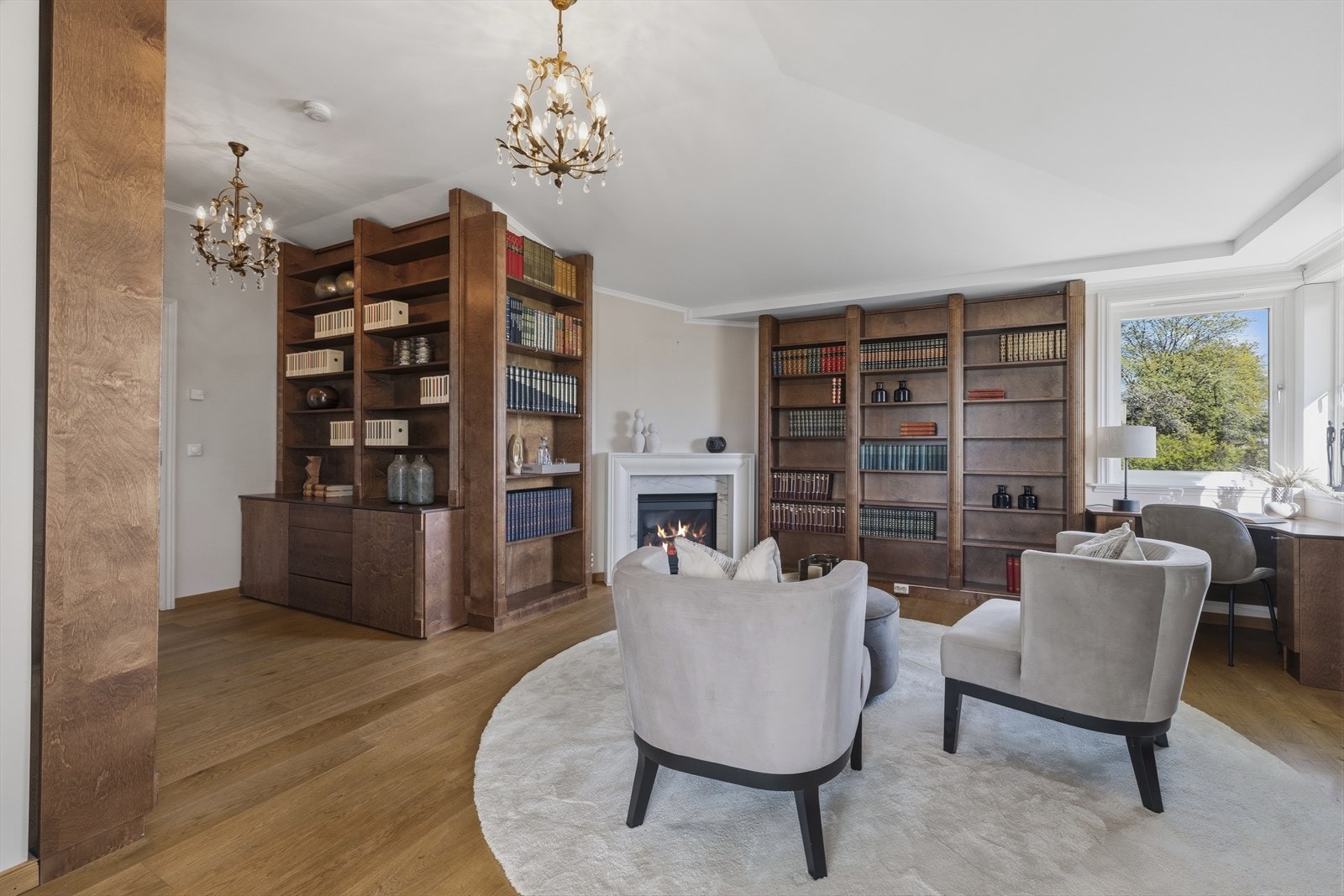 Bibliotek med gasspeis Galleribilde
