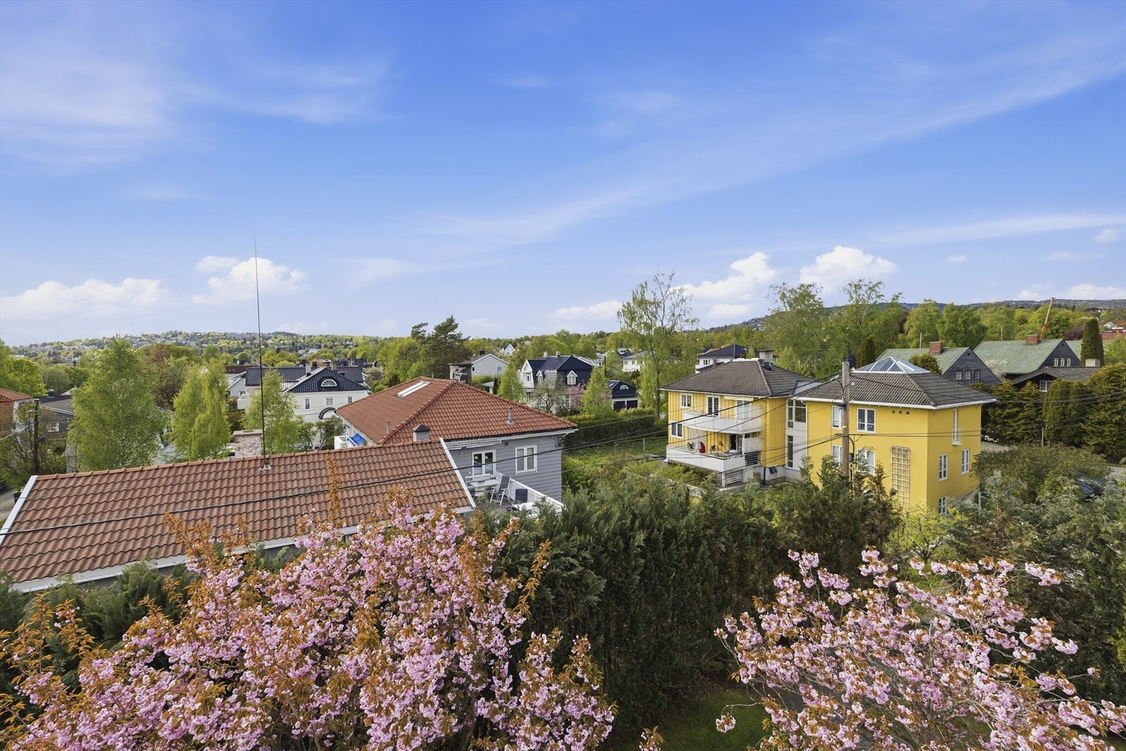 Nydelig utsikt over nærområdet Galleribilde