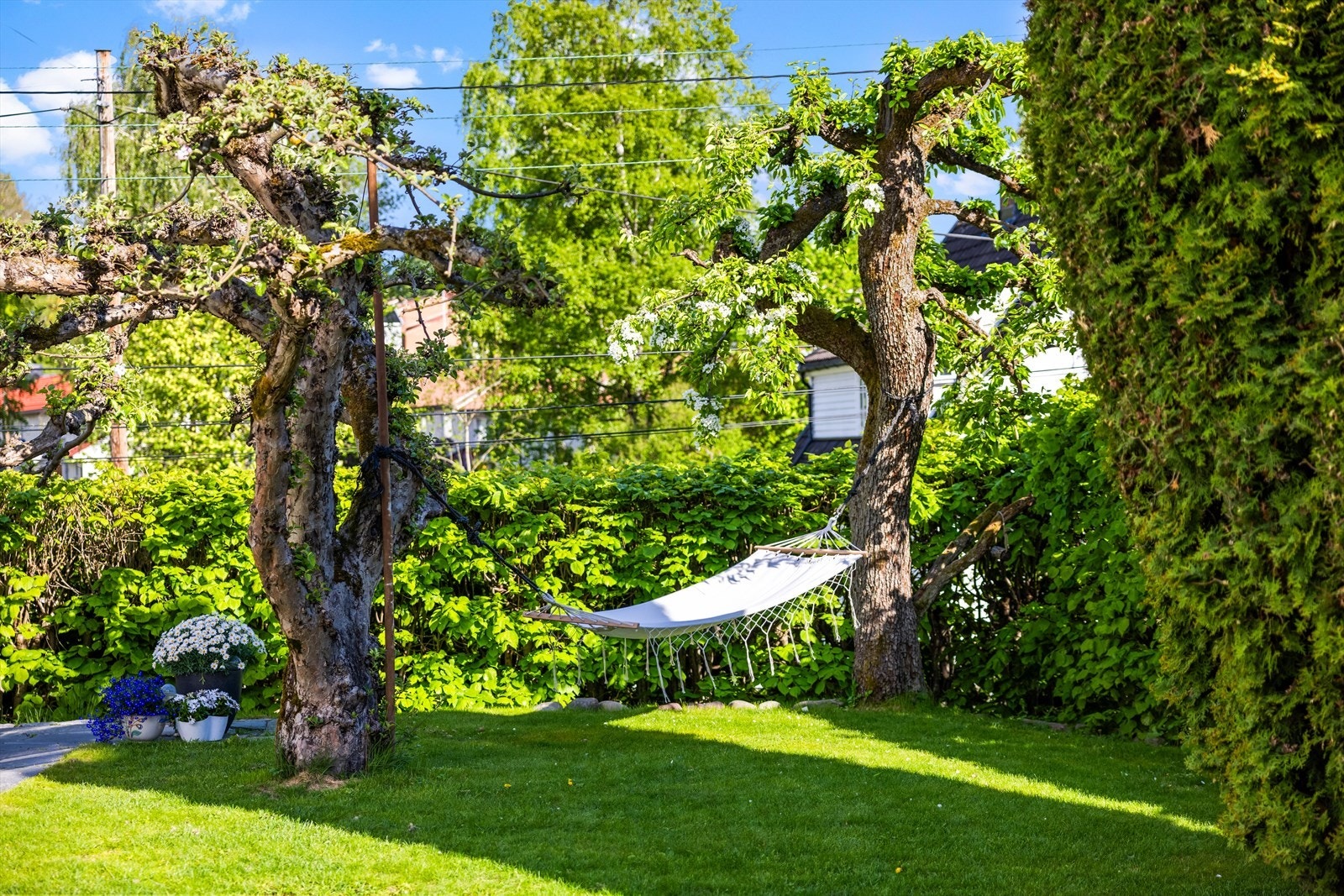 Meget pent opparbeidet hage med vakker beplantning. Galleribilde
