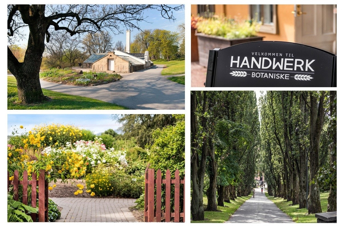 Kort vei til botanisk hage og parker Galleribilde