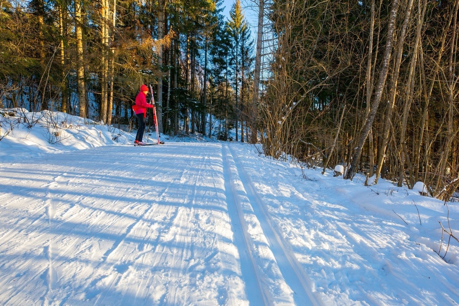 Om vinteren kjøres det flere fine skispor i området. Galleribilde