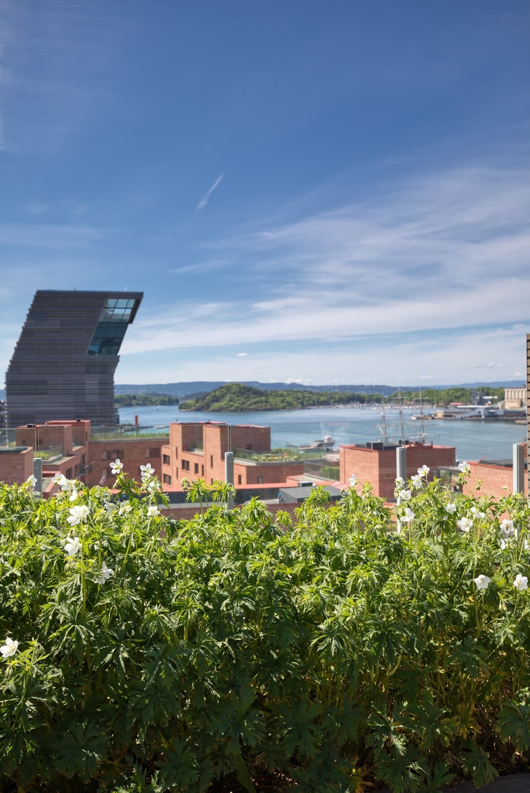 Nærhet til sjøen og byens pulserende liv. Galleribilde