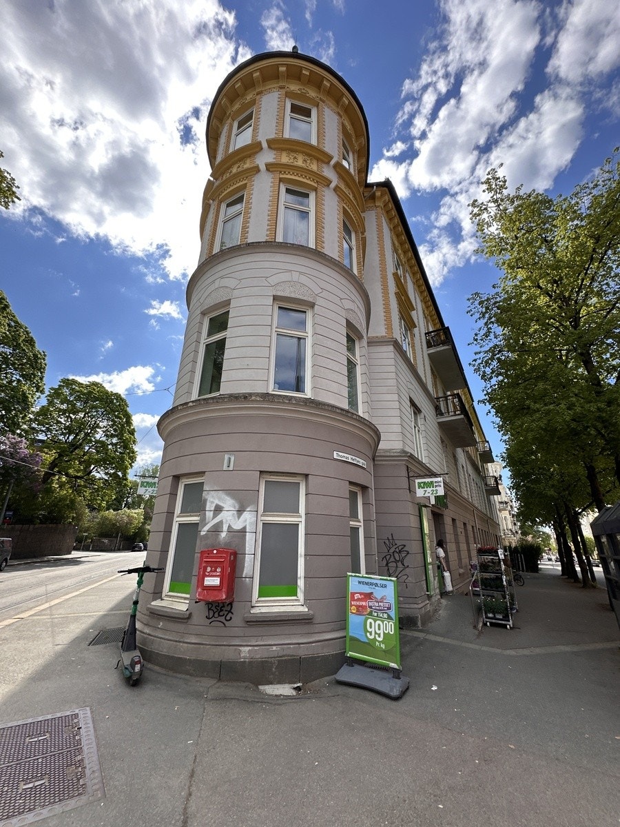 Kiwi Galleribilde