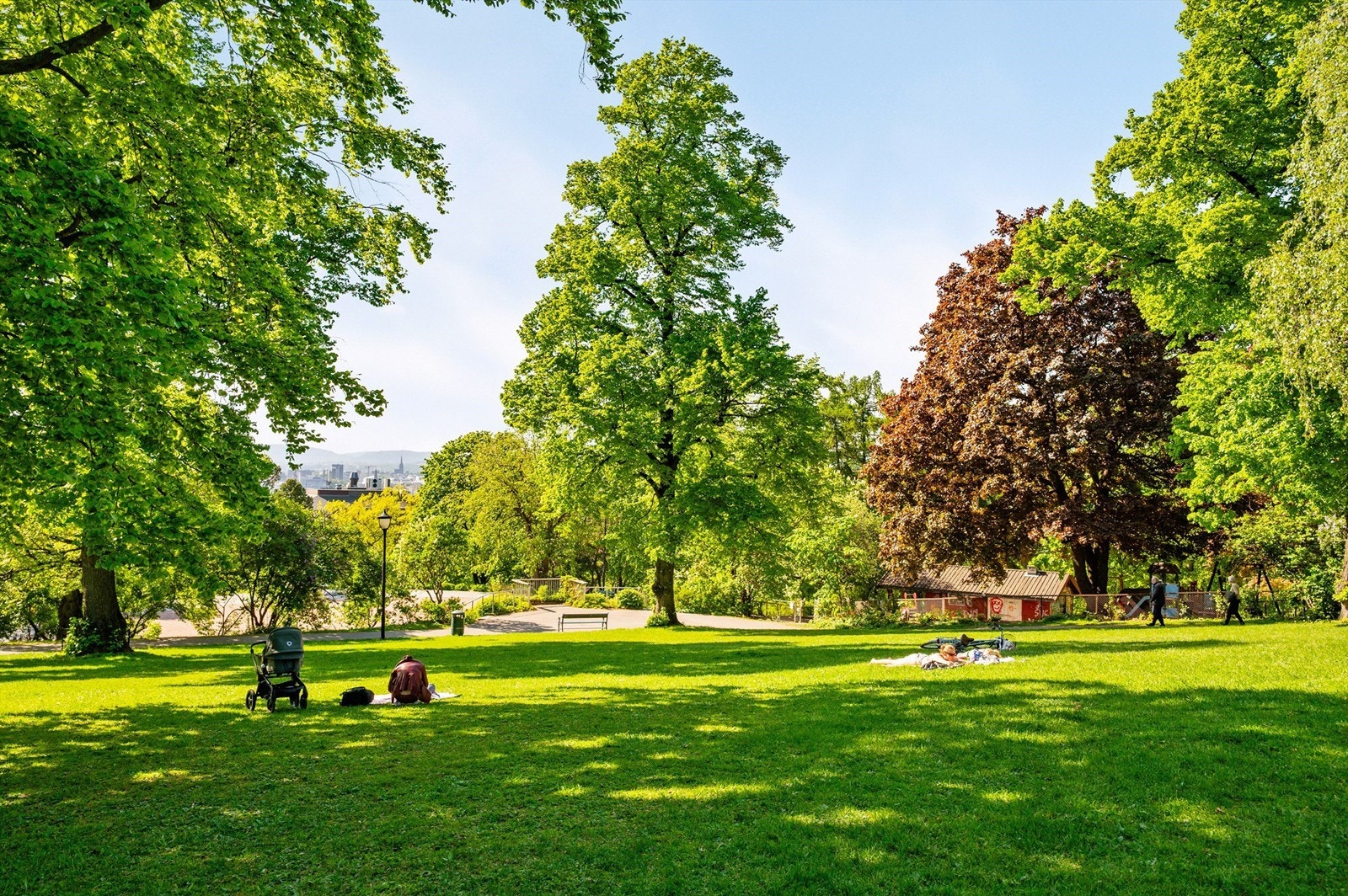 Vakre Kampen park ligger rett ved leiligheten, og det er kort avstand til Botanisk hage og Tøyenparken med nyrenoverte Tøyenbadet Galleribilde