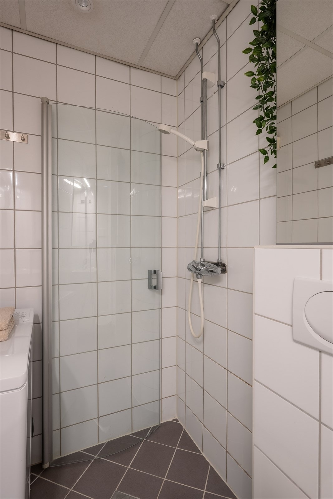 Badet ble pusset opp i regi av aksjelaget i 2005/2006 Galleribilde