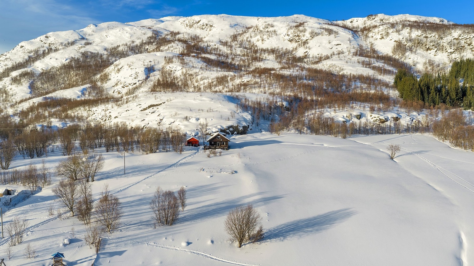 Dronefoto. Galleribilde
