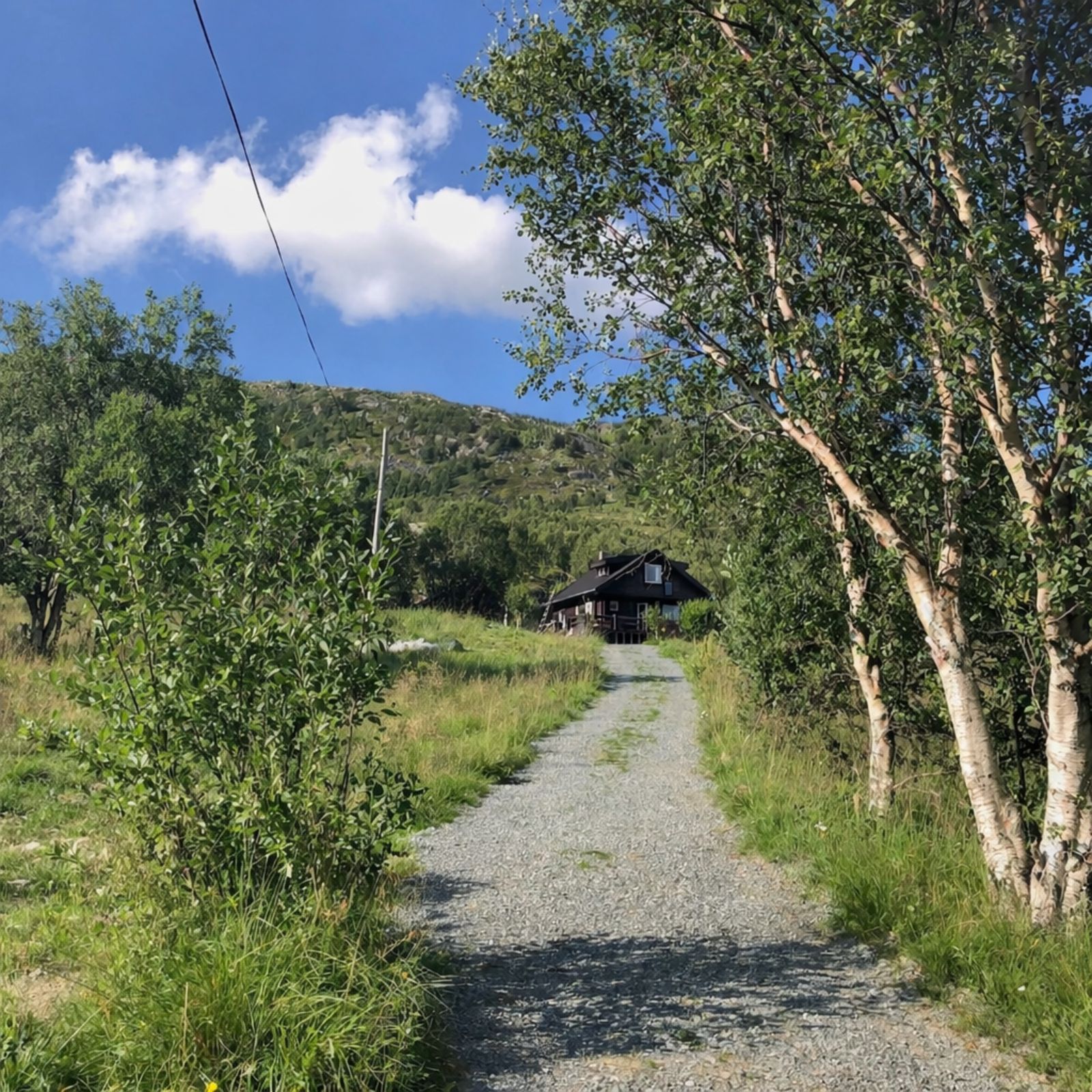 På sommeren kan man kjøre helt opp til hytta. Galleribilde