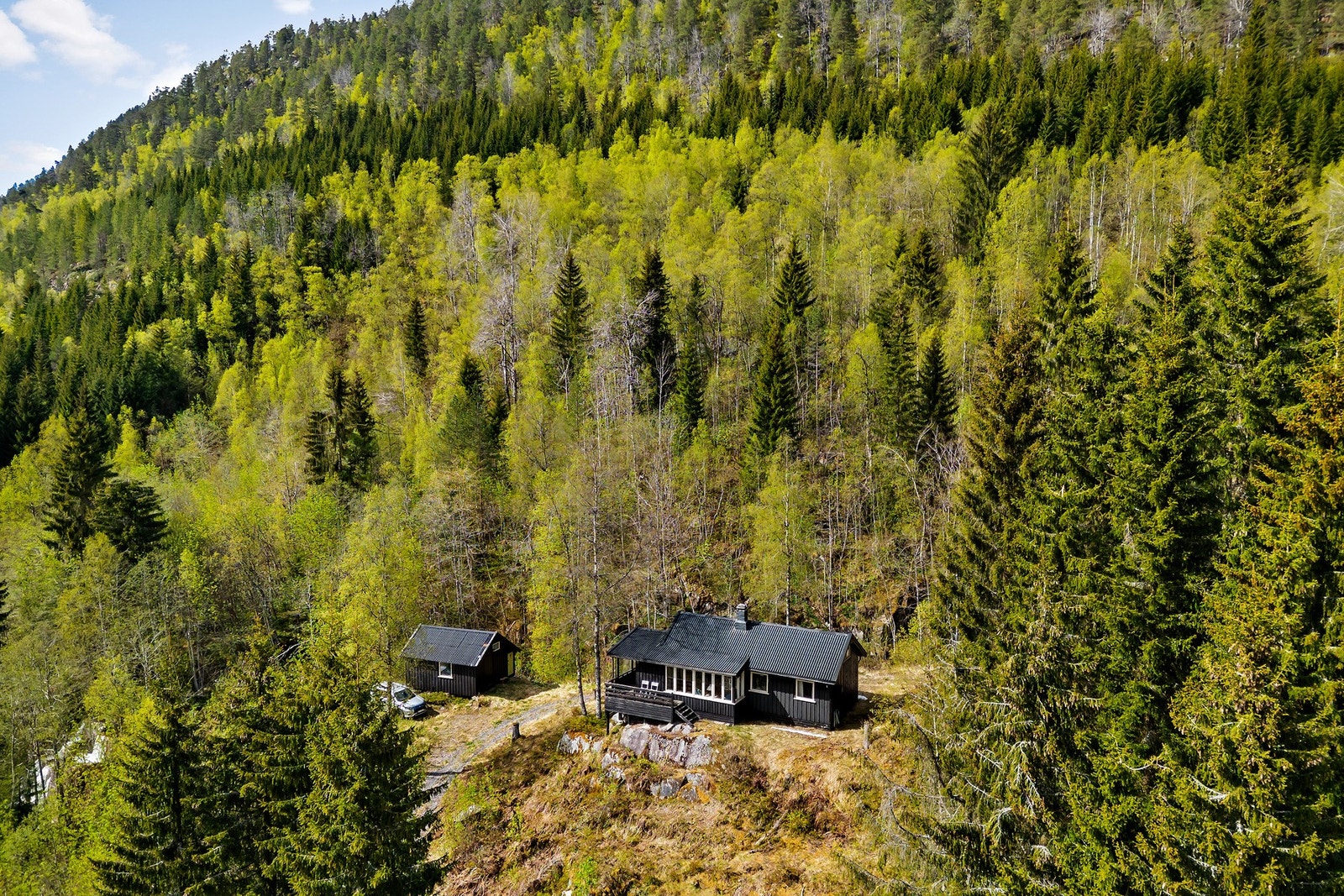 Områdebilde Galleribilde