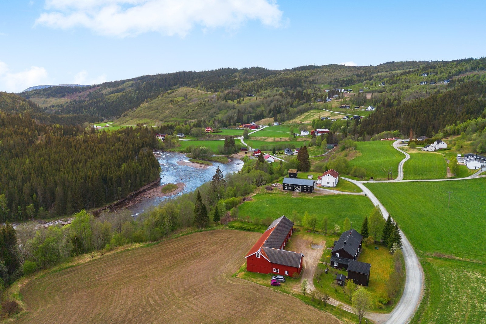 Naturskjønne og rolige omgivelser med flott natur, rett utenfor døra. Galleribilde