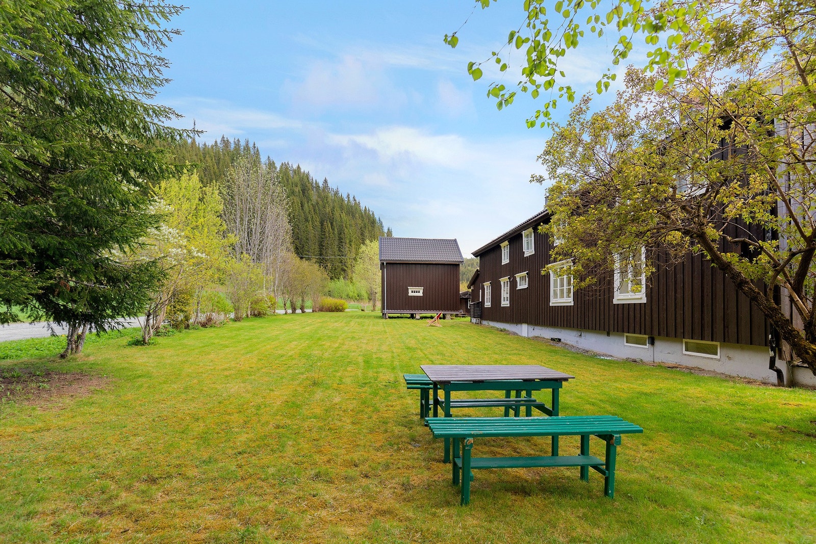 Tomta byr på bla. stor gressplen, beplantning og bed. Galleribilde