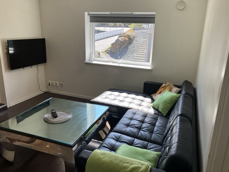 Stor og lys leilighet med store vindu Galleribilde