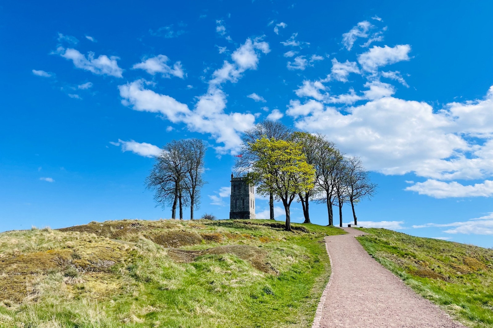 Slottsfjell Galleribilde
