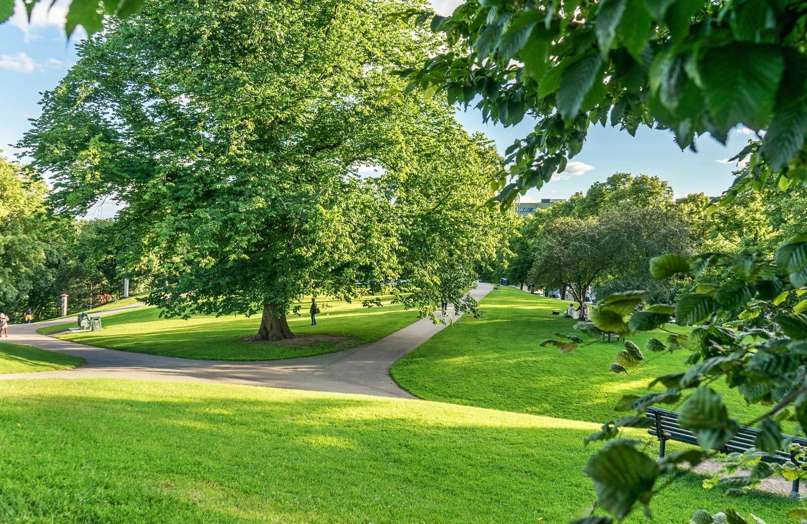 St. Hanshaugen park - en av Oslos mest populære parker med flotte grøntområder og utsikt. Galleribilde