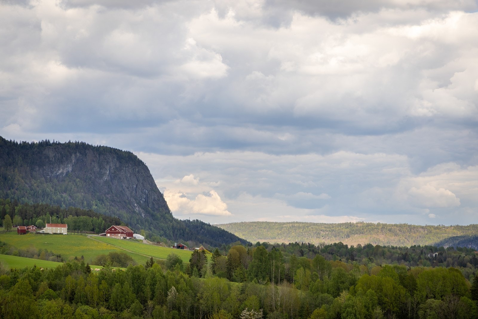 Landlig og fredelig utsikt fra eiendommen. Galleribilde