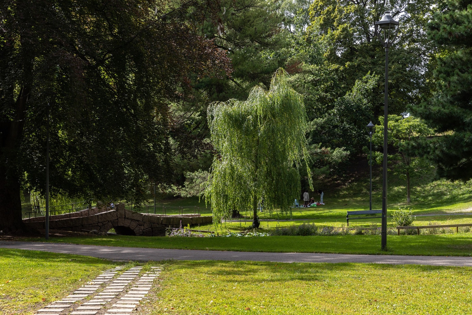 St. Hanshaugen med hyggelige turstier, andedam og bekkedrag. Galleribilde