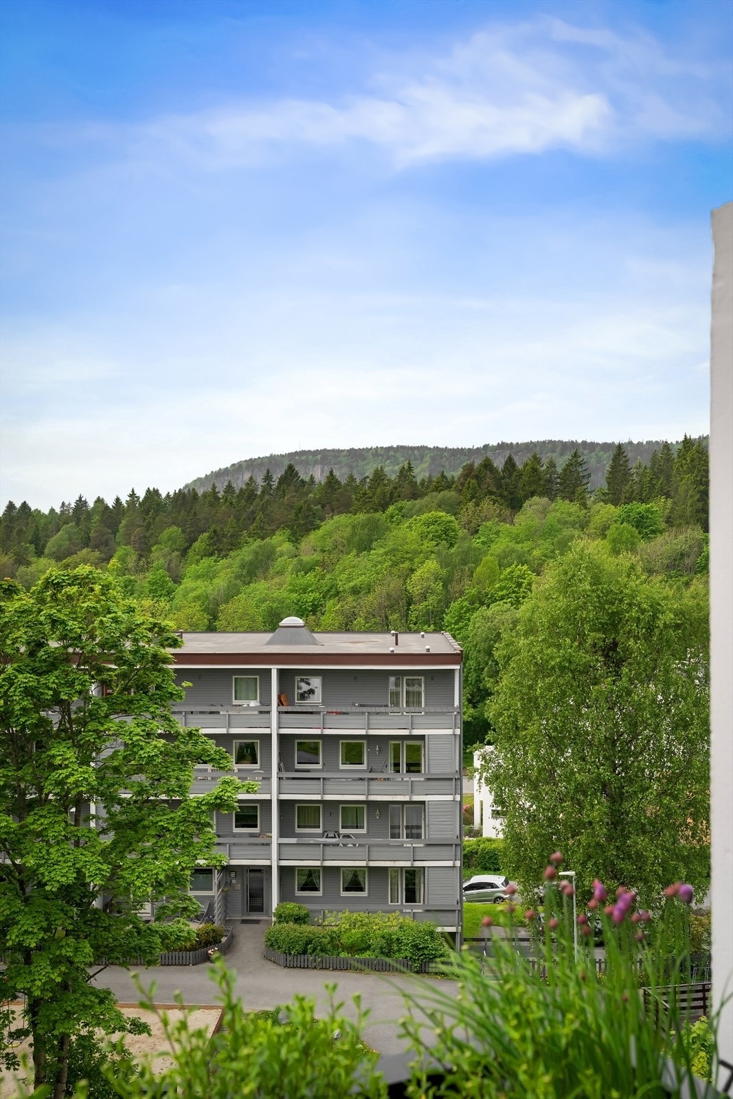 Utsikt mot Kolsåstoppen Galleribilde