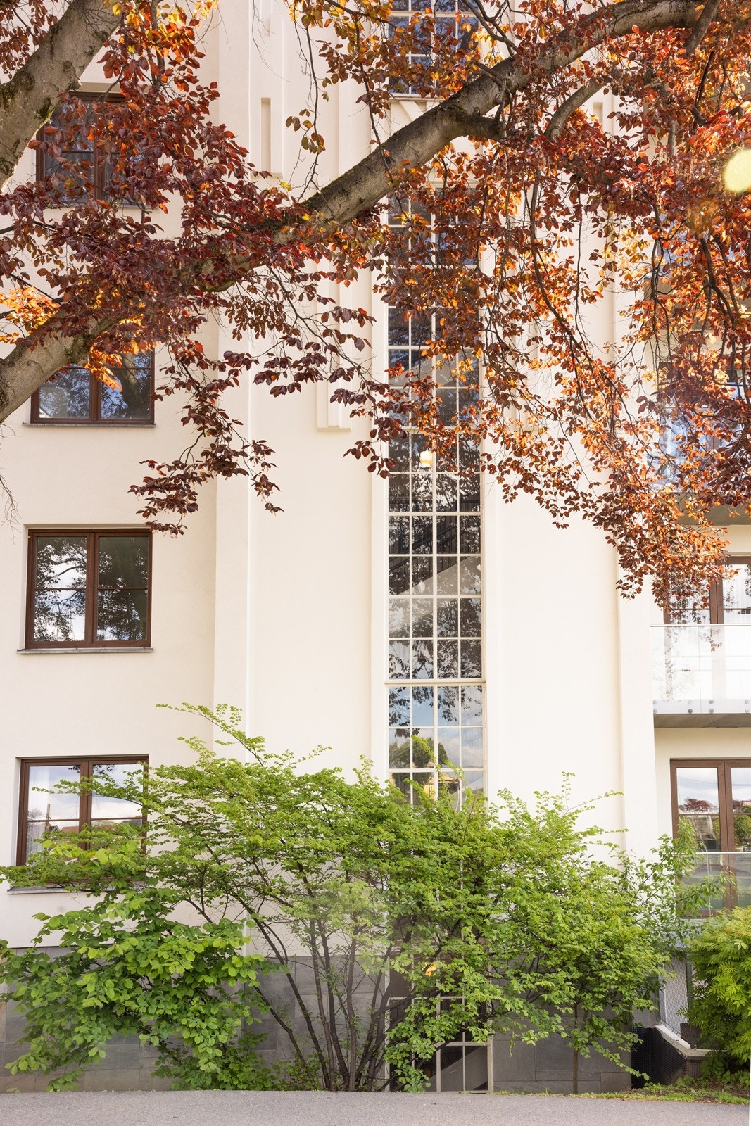 Fasade. Galleribilde