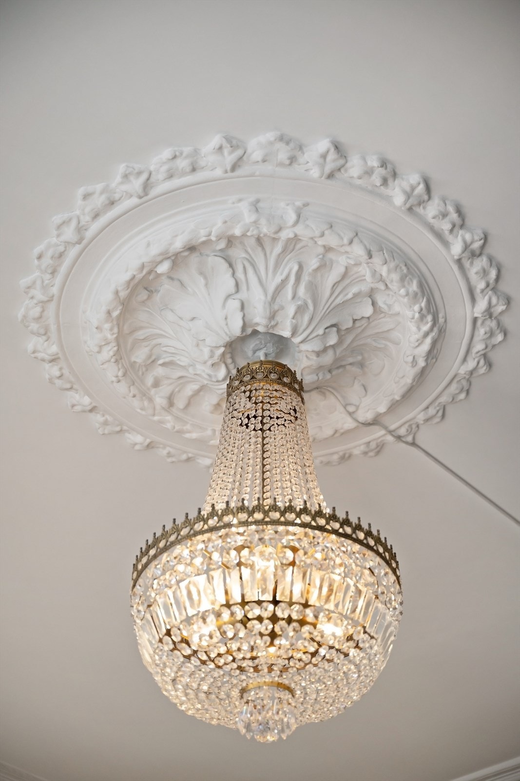 Bevarte rosetter i himling. Galleribilde
