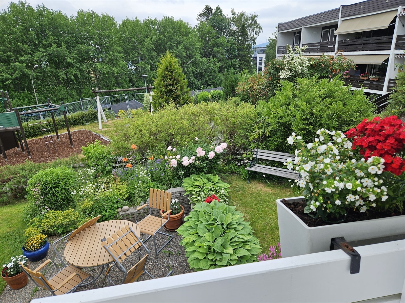 Bilde tatt av selger - Her blomster plantene i omgivelser de virkelig trives i. Galleribilde