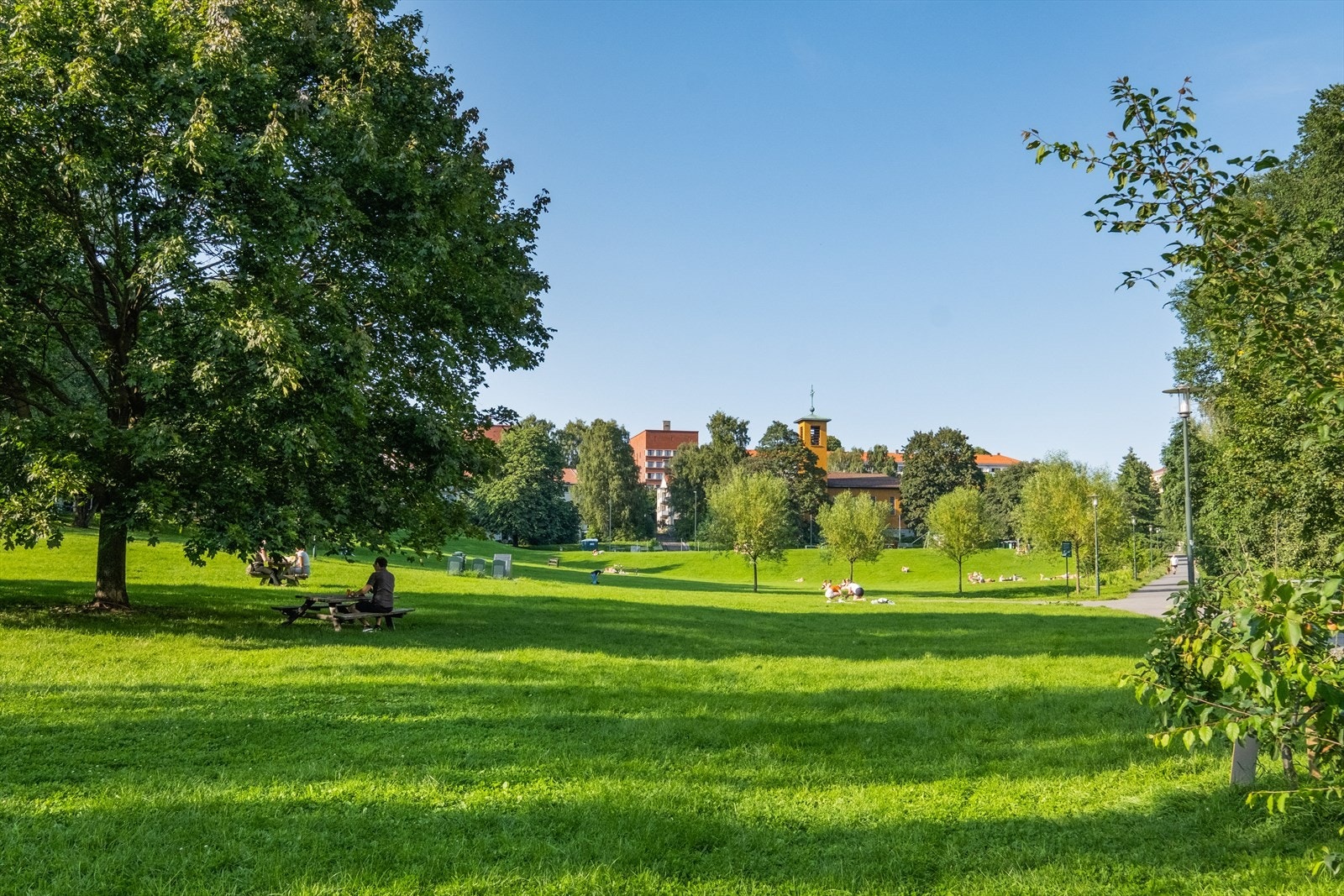 Nærområdet. Galleribilde