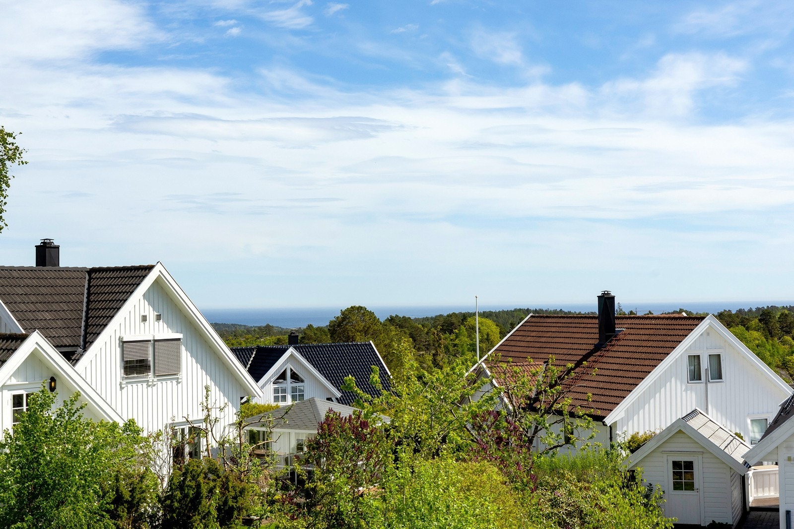 Utsikt mot havet. Galleribilde