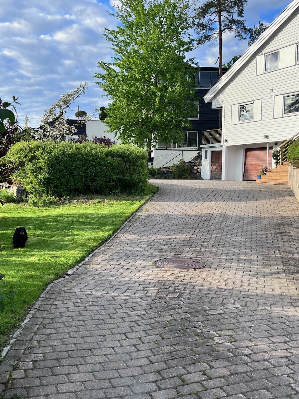 Selgers egne bilder Galleribilde