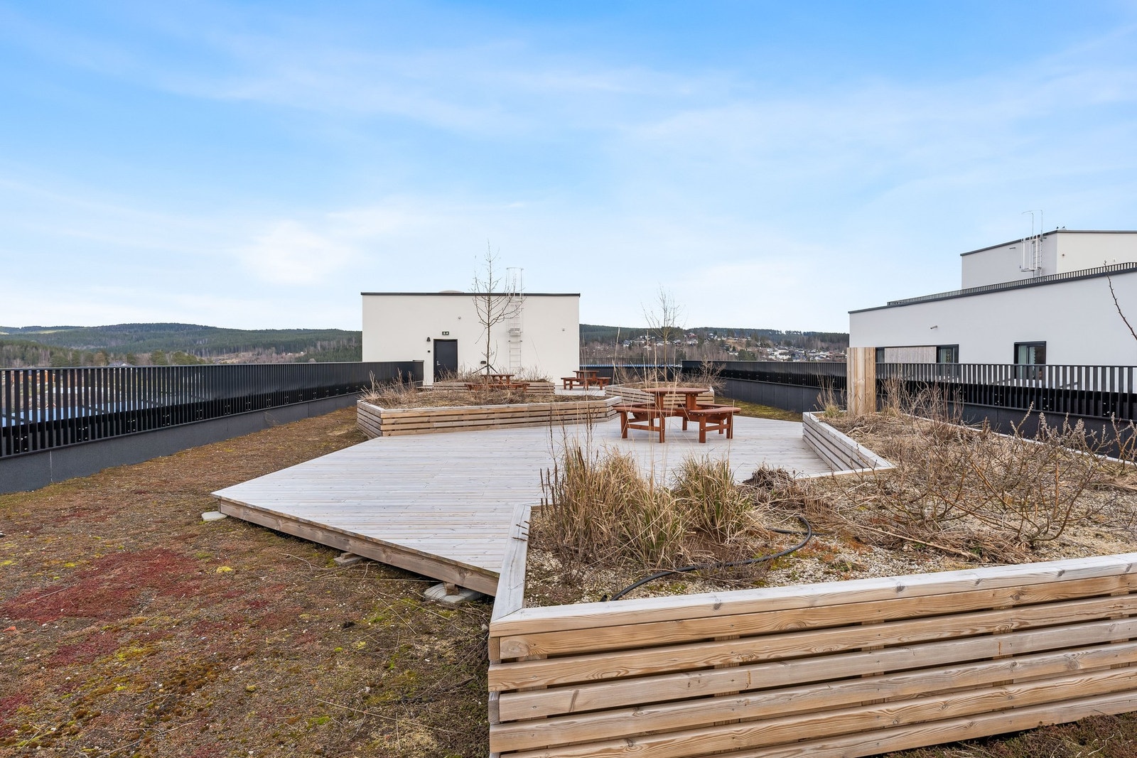 Takterrassene er fylt med sittegrupper og rikelig med beplantning på sommerhalvåret. Galleribilde