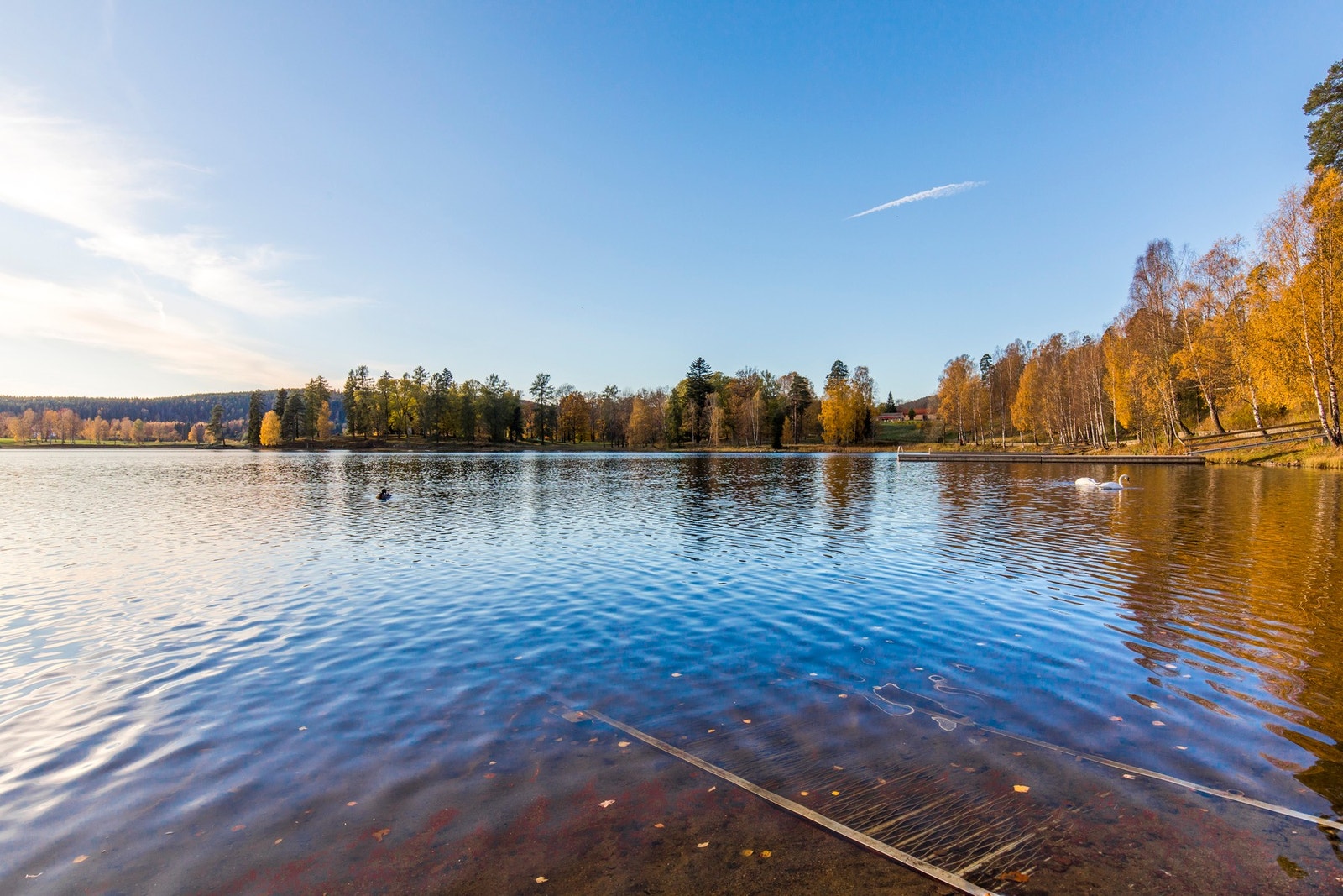 Bogstadvannet er et populært utfartsområde med flotte omgivelser og gode muligheter for turer, bading og rekreasjon gjennom året. Galleribilde